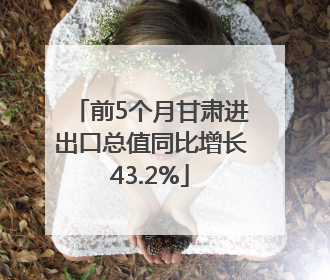 前5个月甘肃进出口总值同比增长43.2%