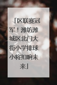 区联赛冠军！潍坊潍城区北门大街小学排球小将扣响未来