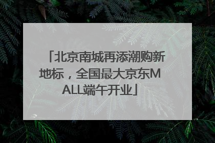 北京南城再添潮购新地标，全国最大京东MALL端午开业