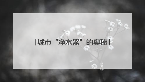 城市“净水器”的奥秘