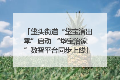 垡头街道“垡宝演出季”启动 “垡宝治家”数智平台同步上线