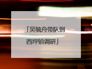 吴毓舟带队到西坪镇调研