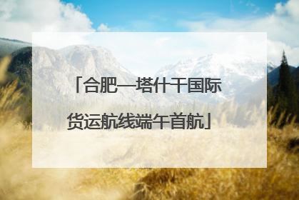 合肥—塔什干国际货运航线端午首航