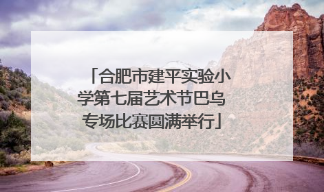 合肥市建平实验小学第七届艺术节巴乌专场比赛圆满举行