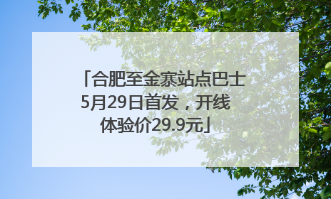 合肥至金寨站点巴士5月29日首发，开线体验价29.9元