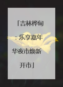 吉林桦甸：乐享嘉年华夜市焕新开市