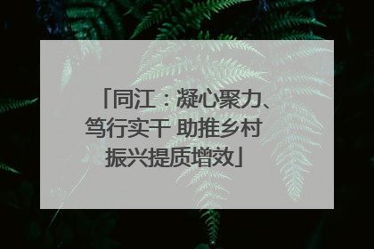 同江：凝心聚力、笃行实干 助推乡村振兴提质增效