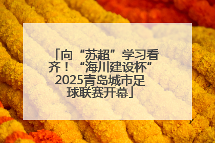 向“苏超”学习看齐！“海川建设杯”2025青岛城市足球联赛开幕