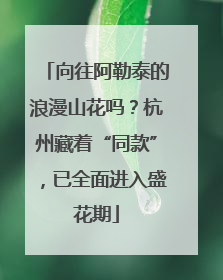向往阿勒泰的浪漫山花吗？杭州藏着“同款”，已全面进入盛花期