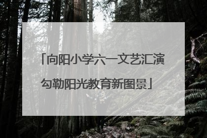 向阳小学六一文艺汇演勾勒阳光教育新图景