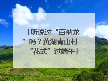 听说过“百衲龙”吗？黄湖青山村“花式”过端午