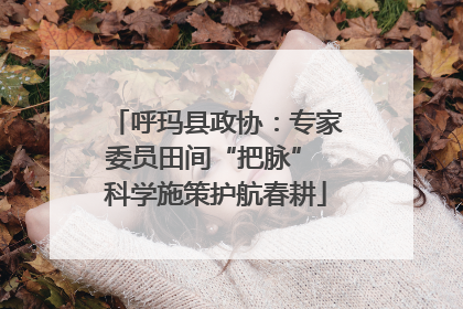 呼玛县政协：专家委员田间“把脉” 科学施策护航春耕