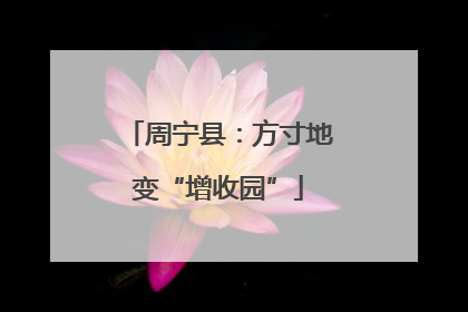 周宁县：方寸地变“增收园”