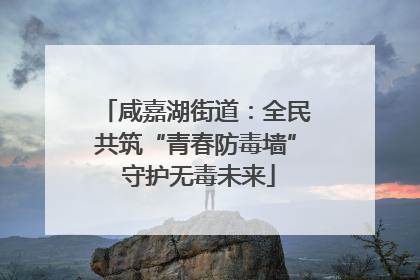 咸嘉湖街道：全民共筑“青春防毒墙” 守护无毒未来