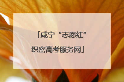 咸宁“志愿红”织密高考服务网
