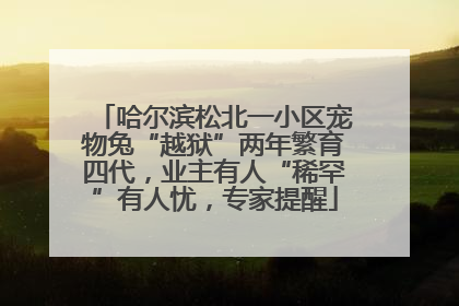 哈尔滨松北一小区宠物兔“越狱”两年繁育四代，业主有人“稀罕”有人忧，专家提醒