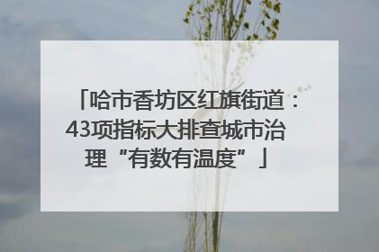 哈市香坊区红旗街道：43项指标大排查城市治理“有数有温度”