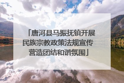 唐河县马振抚镇开展民族宗教政策法规宣传 营造团结和谐氛围