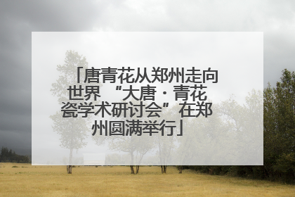 唐青花从郑州走向世界 “大唐・青花瓷学术研讨会”在郑州圆满举行