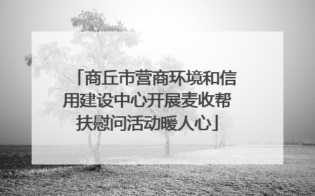 商丘市营商环境和信用建设中心开展麦收帮扶慰问活动暖人心