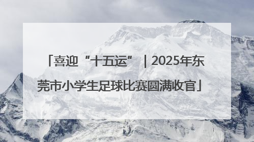 喜迎“十五运”｜2025年东莞市小学生足球比赛圆满收官
