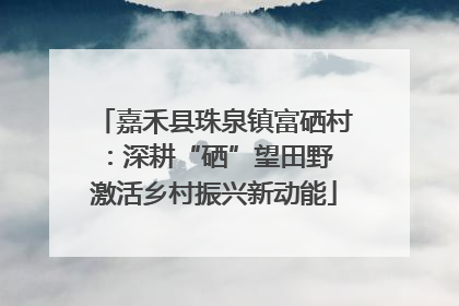 嘉禾县珠泉镇富硒村：深耕“硒”望田野 激活乡村振兴新动能