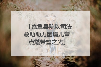 嘉鱼县院以司法救助助力困境儿童点燃希望之光