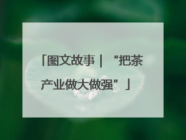 图文故事｜“把茶产业做大做强”