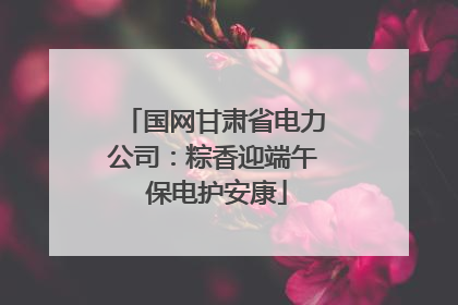 国网甘肃省电力公司：粽香迎端午 保电护安康