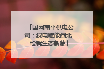 国网南平供电公司：绿电赋能闽北 绘就生态新篇