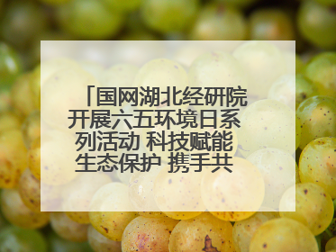 国网湖北经研院开展六五环境日系列活动 科技赋能生态保护 携手共建绿色电网