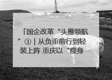 国企改革“头雁领航”③｜从负重前行到轻装上阵 重庆以“瘦身”谋“健体”