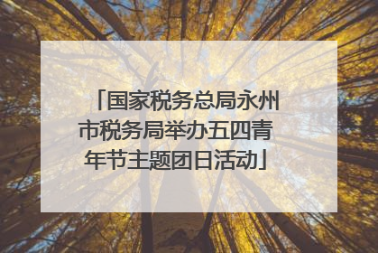 国家税务总局永州市税务局举办五四青年节主题团日活动