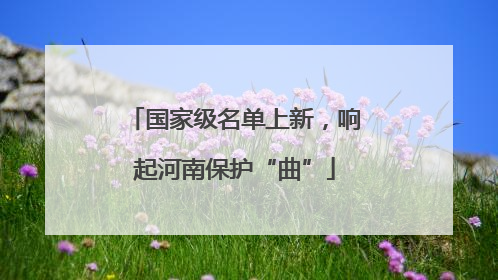 国家级名单上新，响起河南保护“曲”