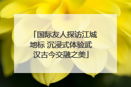 国际友人探访江城地标 沉浸式体验武汉古今交融之美