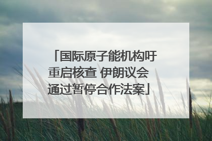 国际原子能机构吁重启核查 伊朗议会通过暂停合作法案