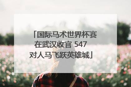 国际马术世界杯赛在武汉收官 547对人马飞跃英雄城