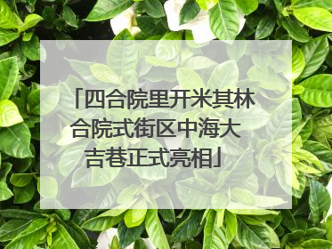四合院里开米其林 合院式街区中海大吉巷正式亮相