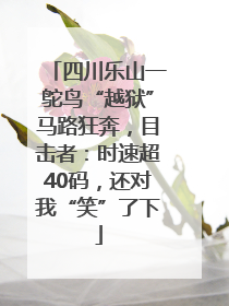 四川乐山一鸵鸟“越狱”马路狂奔，目击者：时速超40码，还对我“笑”了下