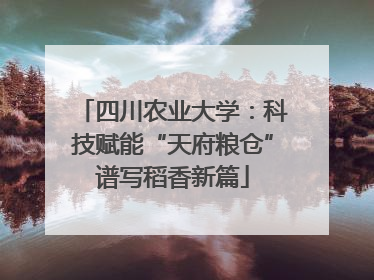 四川农业大学：科技赋能“天府粮仓”谱写稻香新篇