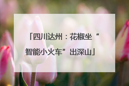 四川达州：花椒坐“智能小火车”出深山