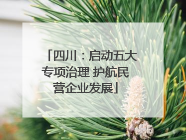 四川：启动五大专项治理 护航民营企业发展