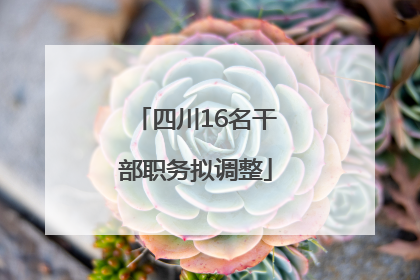 四川16名干部职务拟调整