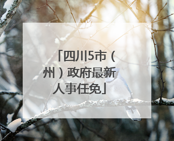 四川5市（州）政府最新人事任免