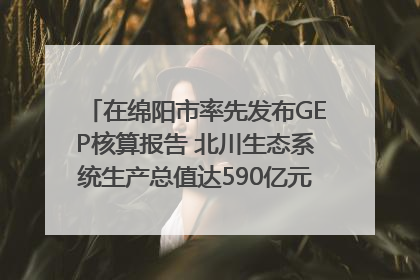 在绵阳市率先发布GEP核算报告 北川生态系统生产总值达590亿元｜新闻发布最前线