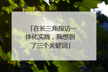 在长三角探访一体化实践，我想到了三个关键词