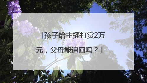 孩子给主播打赏2万元，父母能追回吗？