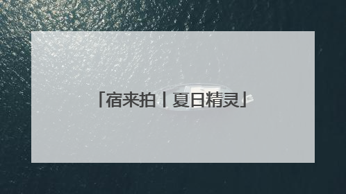 宿来拍丨夏日精灵