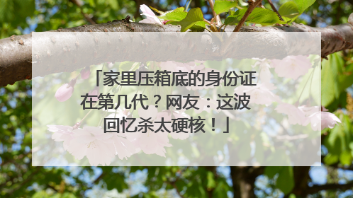 家里压箱底的身份证在第几代？网友：这波回忆杀太硬核！