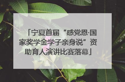 宁夏首届“感党恩·国家奖学金学子亲身说”资助育人演讲比赛落幕